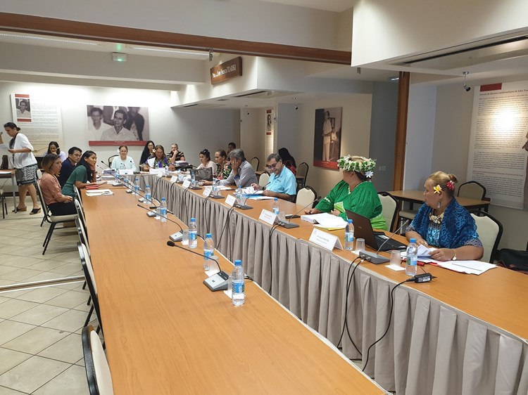 31 projets d’arrêté étudiés en commission de contrôle budgétaire et financier de l’assemblée de la Polynésie française