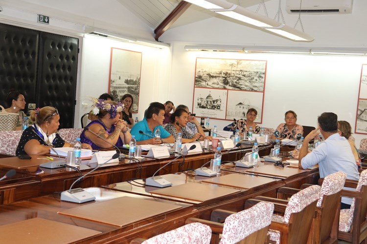 Quinze projets d’arrêté étudiés en commission de contrôle budgétaire et financier de l’assemblée de la Polynésie française