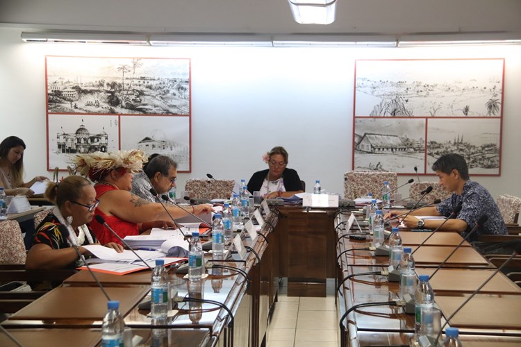 Trente-et-un projets d’arrêté étudiés en commission de contrôle budgétaire et financier de l’assemblée de la Polynésie française.