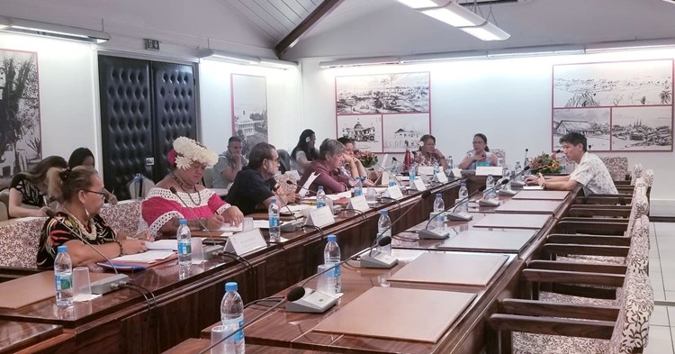 Trois projets d’arrêté étudiés en commission de contrôle budgétaire et financier de l’assemblée de la Polynésie française