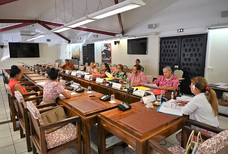 Quarante-six projets d’arrêté étudiés en commission de contrôle budgétaire et financier de l’assemblée de la Polynésie française