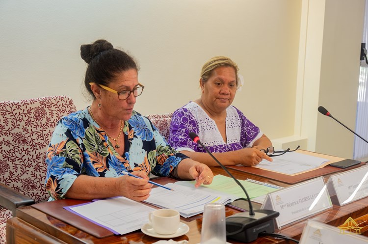 Deux projets de délibérations examinés lors de la commission du logement, des affaires foncières, de l’économie numérique, de la communication et de l’artisanat