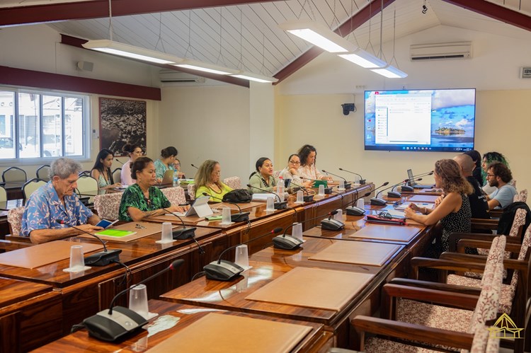 Réunion d’information de la commission du tourisme, de l’écologie, de la culture, de l’aménagement du territoire et du transport aérien sur l’association Manu SOP et le dispositif « Corps Européen de Solidarité »