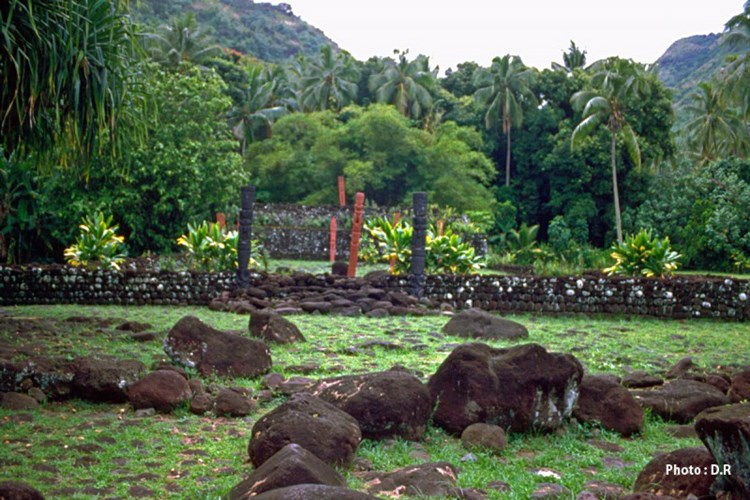 Les membres de la commission du tourisme visitent les sites touristiques de Tahiti