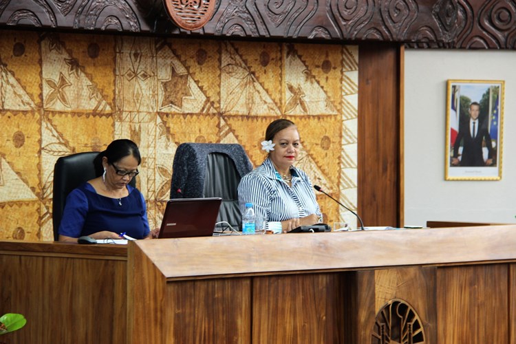 Prise en charge du fret à destination des îles, création d’une aide pour l’achat de matériels de radiocommunications et budget modificatif de l’assemblée au programme de la 6ème séance de la session budgétaire