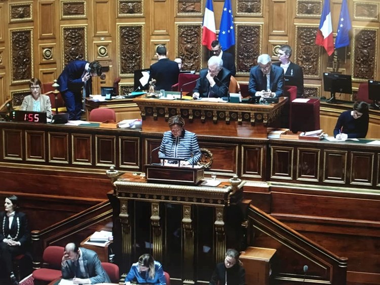 Consensus au Sénat pour l’évolution statutaire