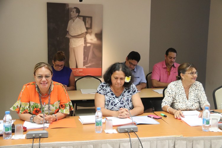 Auditions dans le cadre de la mission d’information portant sur la prise en charge des patients bénéficiant d’une Evasan inter-îles en Polynésie française.