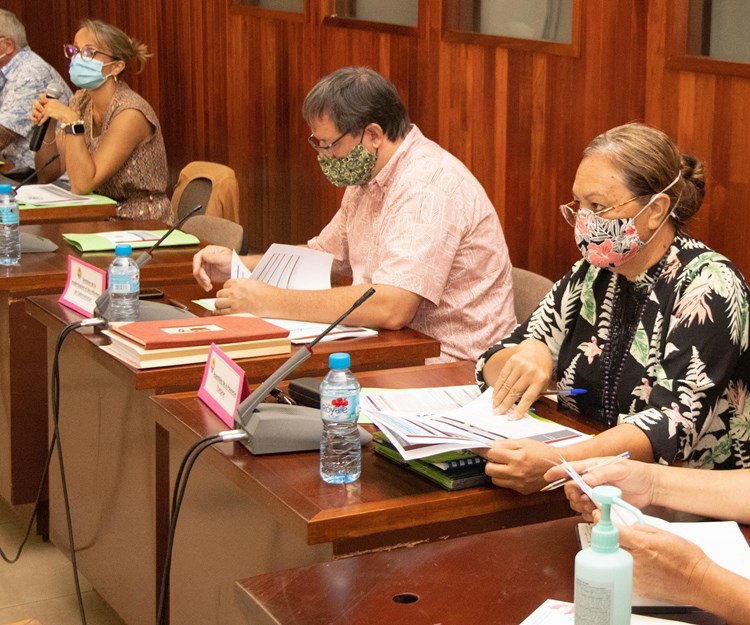 La première vice-présidente participe au comité technique du plan stratégique de  réforme du système de Gestion des Finances Publiques