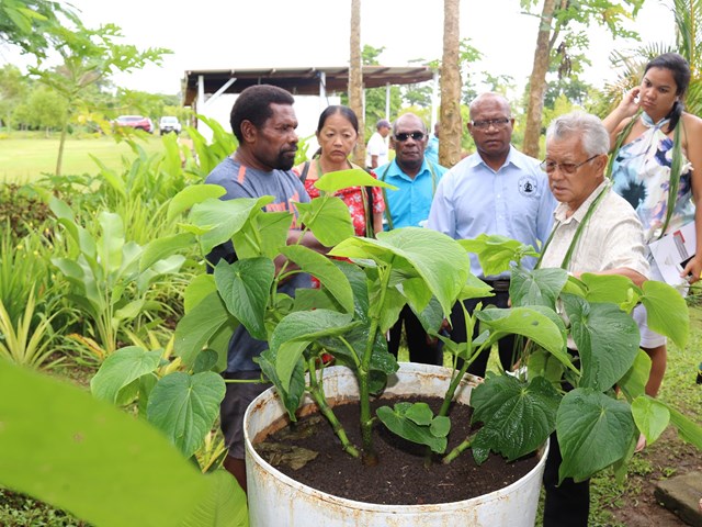 Mai 2019 - Visite d'un site de production et de transformation de kava, de gingembre, de bois de santal et de café