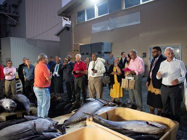 Visite du port de pêche de Papeete