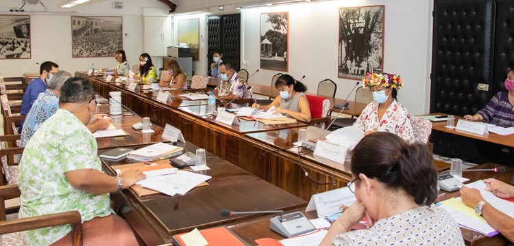 Un projet de loi du pays et un projet de délibération examinés par la commission du tourisme