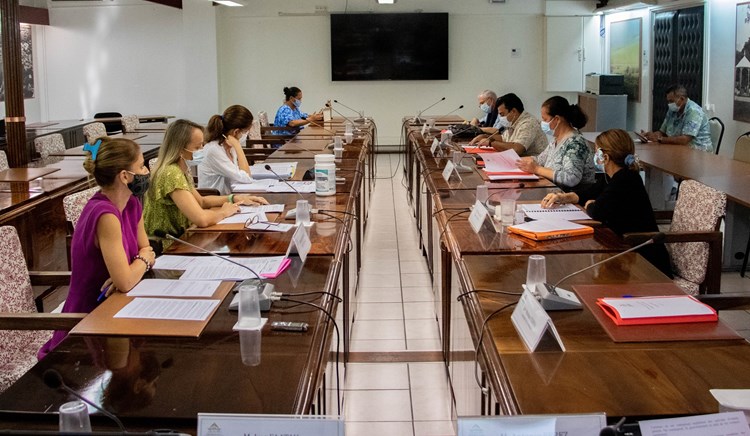 Deux projets de loi du pays étudiés par la commission de l’économie