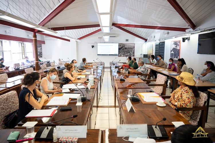 Deux projets de lois du pays examinés par la commission de l’équipement