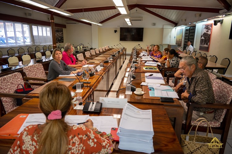 Cinquante-cinq projets d’arrêté étudiés en commission de contrôle budgétaire et financier