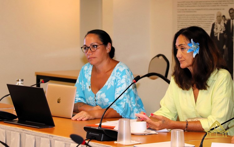 Réunion d'information de la commission du tourisme, de l’écologie, de la culture, de l’aménagement, du territoire et du transport aérien
