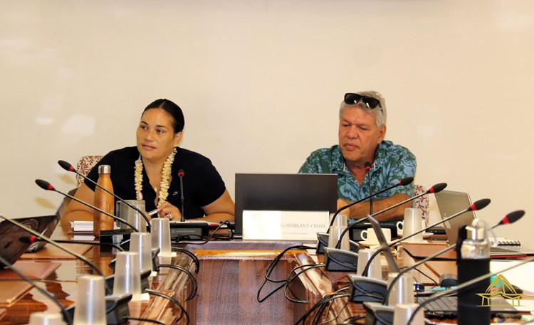 Réunion d’information sur la délégation polynésienne pour le suivi des conséquences des essais nucléaires (DSCEN) et sur la mission de suivi des conséquences des essais nucléaires du Haut-commissariat de la République en Polynésie française   