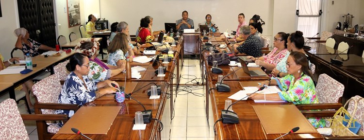 Réunion d'information sur la thématique "Adaptation et scolarisation des élèves handicapés"