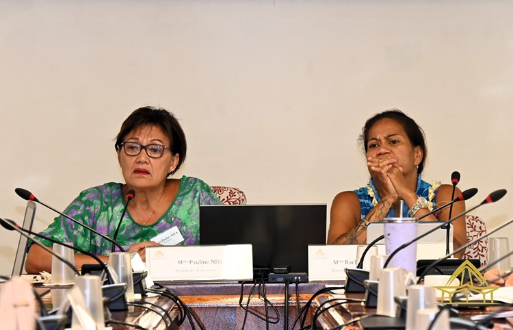 Réunion de la commission de la santé, de la solidarité, du travail et de l’emploi 