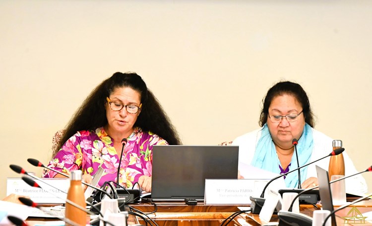 Réunion de la commission du logement, des affaires foncières et du développement durable
