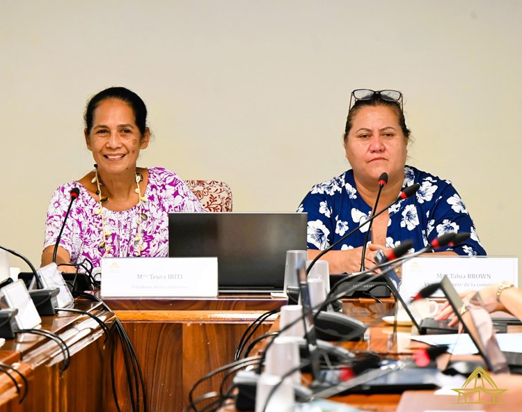 Réunion de la commission de l’emploi et de la fonction publique