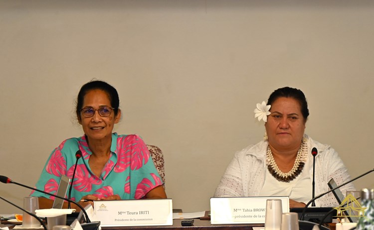 Réunion de la commission de l’emploi et de la fonction publique