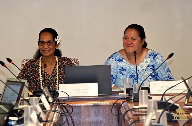 Réunion de la commission de l’emploi et de la fonction publique