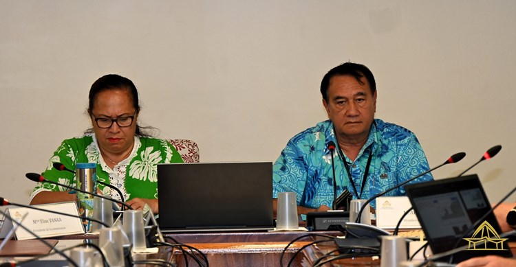 Réunion d’information sur la présentation de la situation de la SEM Air Tahiti Nui et sa stratégie de redressement 