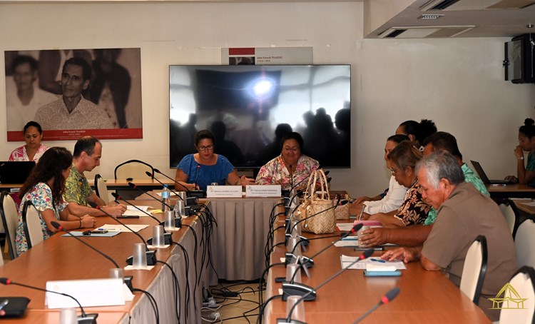 Réunion de la commission du logement, des affaires foncières et du développement durable