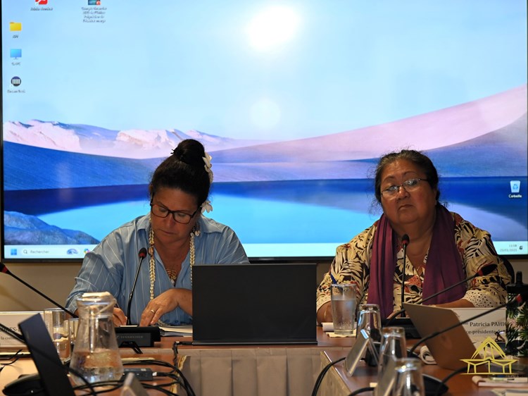 Réunion de la commission du logement, des affaires foncières et du développement durable