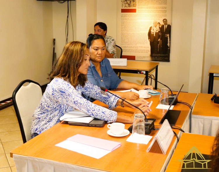 Réunion d'information relative à la présentation du Bilan 2024 et des Perspectives de 2025 de l'Artisanat Traditionnel en Polynésie Française