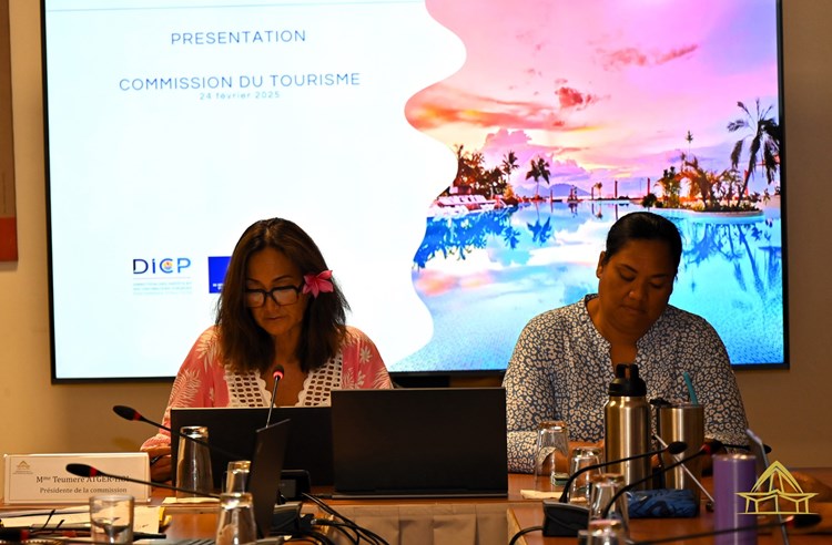Réunion d’information relative aux appels à manifestation d'intérêts (AMI)  dans le secteur du tourisme en 2025