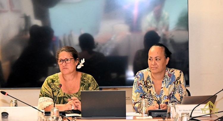 Réunion de la commission du logement, des affaires foncières et du développement durable