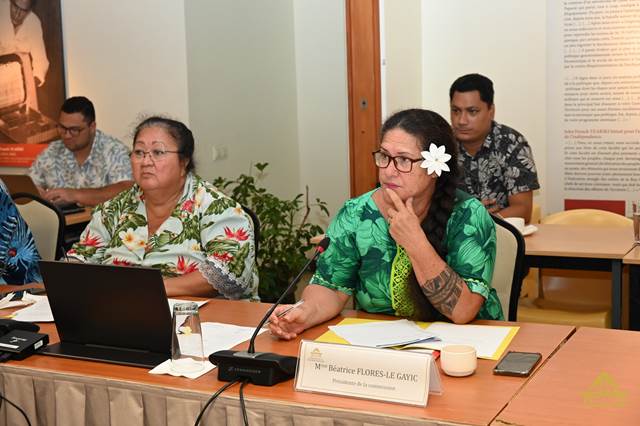 Réunion de la commission du logement, des affaires foncières et du développement durable