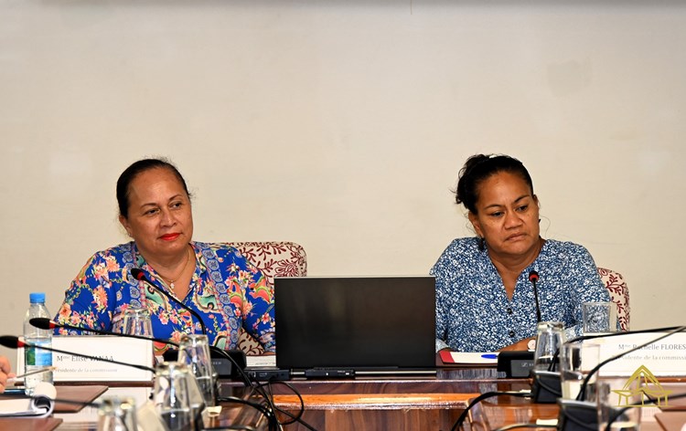 Réunion d'information sur la structuration de l’Économie Sociale et Solidaire (ESS)