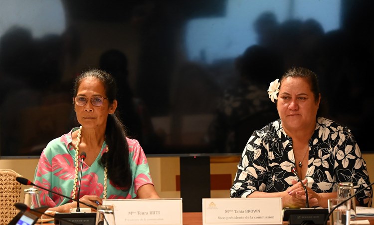 Réunion de la commission de l'emploi et de la fonction publique