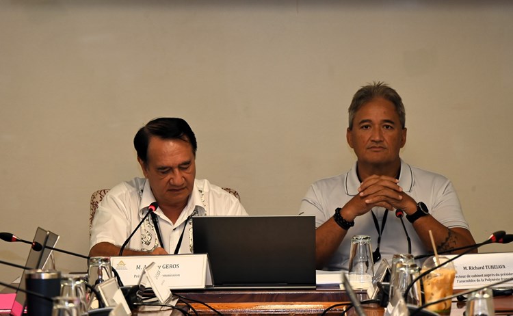 Réunion de la commission spéciale sur la décolonisation