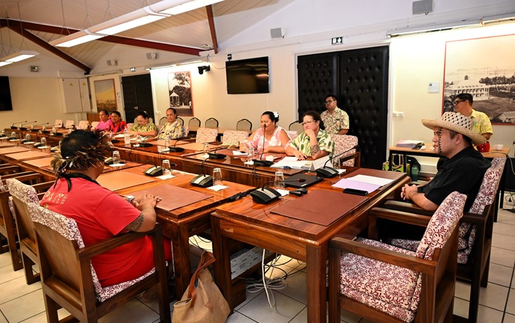 Réunion d’information sur « Les particularités culturelles de l’île de Rapa »
