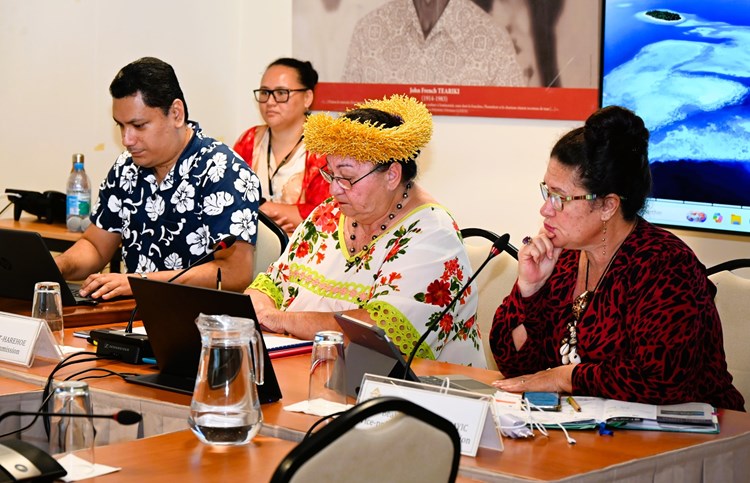 Réunion d’information autour d’un projet en faveur d’une meilleure protection de la ZEE polynésienne
