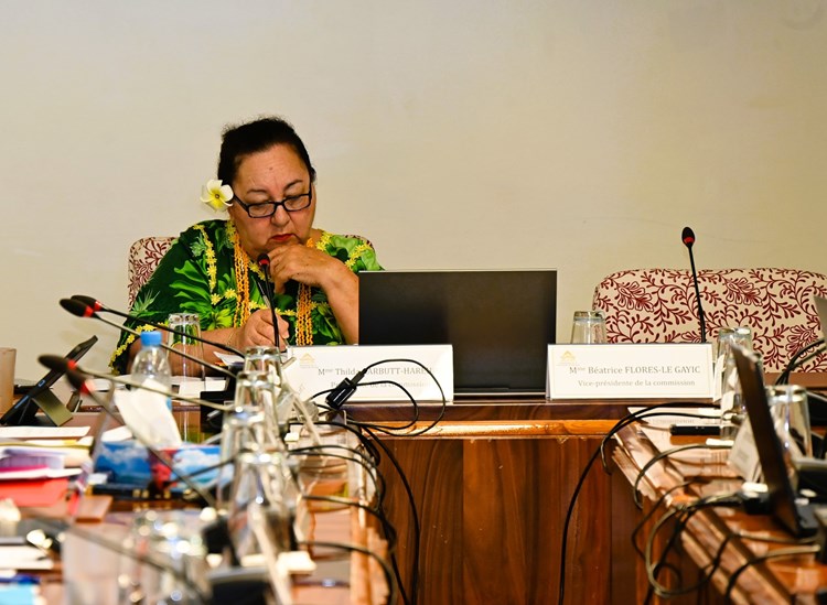 Réunion de la commission du logement, des affaires foncières et du développement durable
