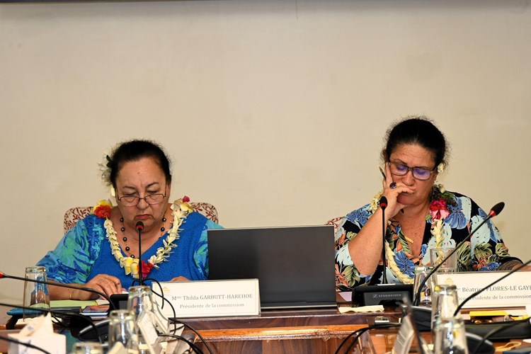 Réunion de la commission du logement, des affaires foncières et du développement durable