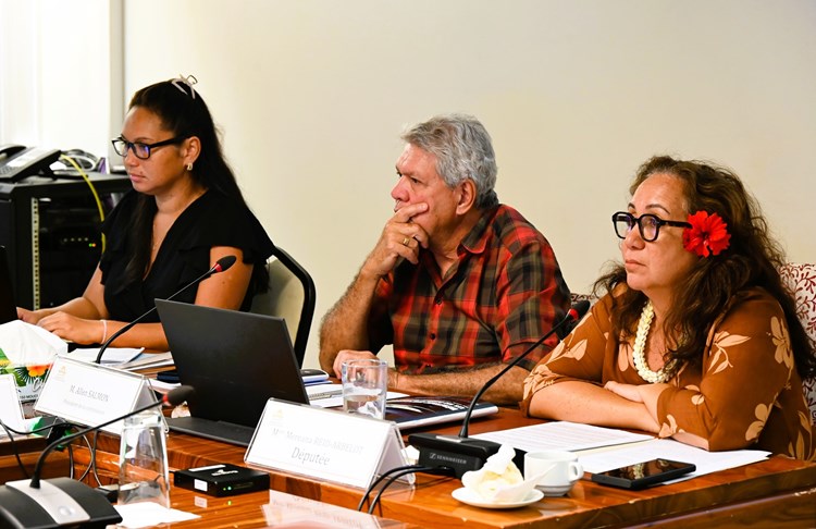 Réunion d'information sur le thème "Présentation du rapport de la commission d’enquête relative aux conséquences des essais nucléaires en Polynésie française"