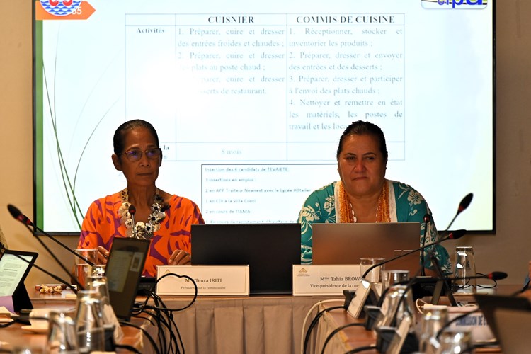 Réunion de la commission de l'emploi et de la fonction publique