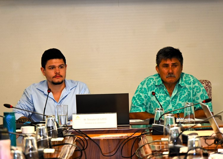 Réunion d’information sur le plan de cadrage stratégique du groupe OPT