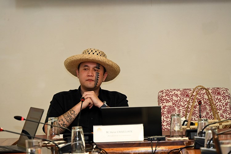 Réunion d’information sur « La rencontre entre les arts māori et mā'ohi »