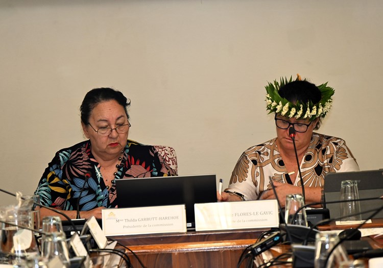 Réunion de la commission du logement, des affaires foncières et du développement durable