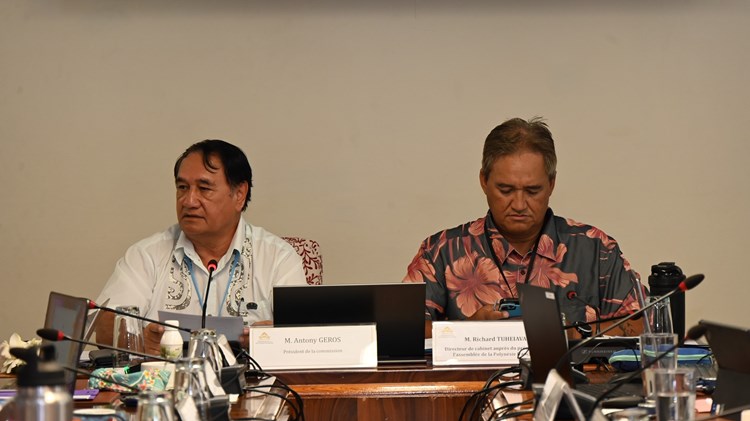 Réunion de la commission spéciale sur la décolonisation