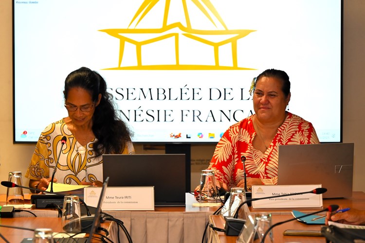 Réunion de la commission de l'emploi et de la fonction publique