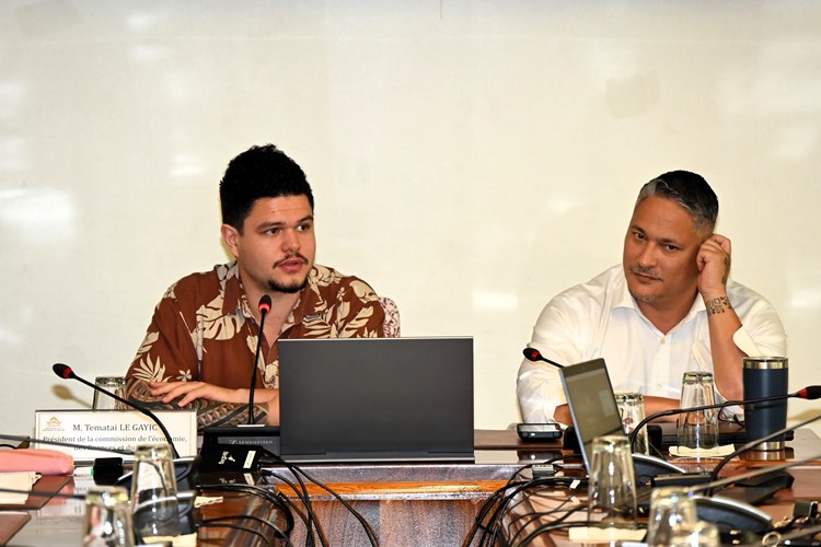 Réunion d’information sur la  " La situation actuelle de la chaîne Tahiti Nui Télévision (TNTV) et ses enjeux "