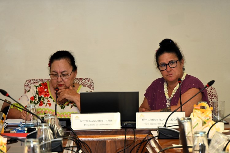 Réunion de la commission du logement, des affaires foncières et du développement durable