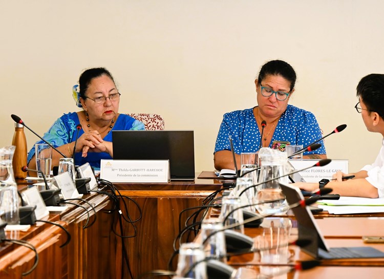 Réunion de la commission du logement, des affaires foncières et du développement durable